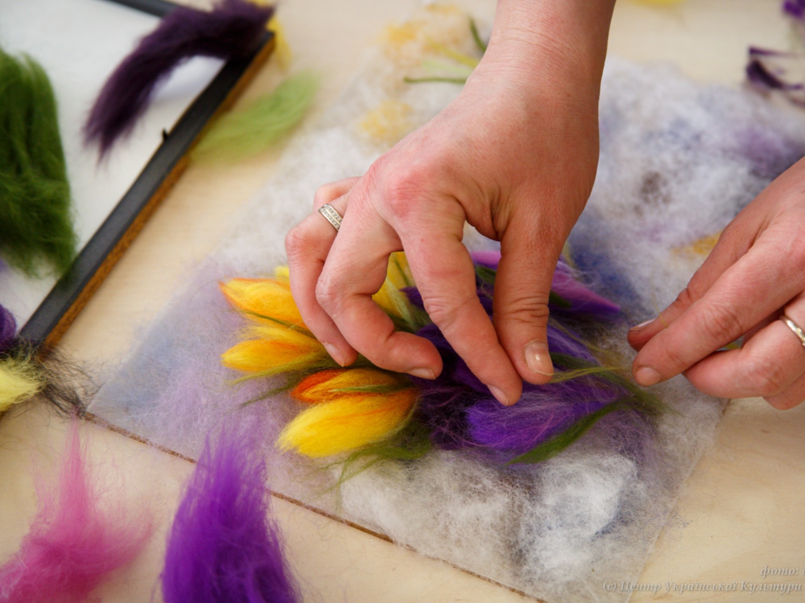 Ботанический сад 